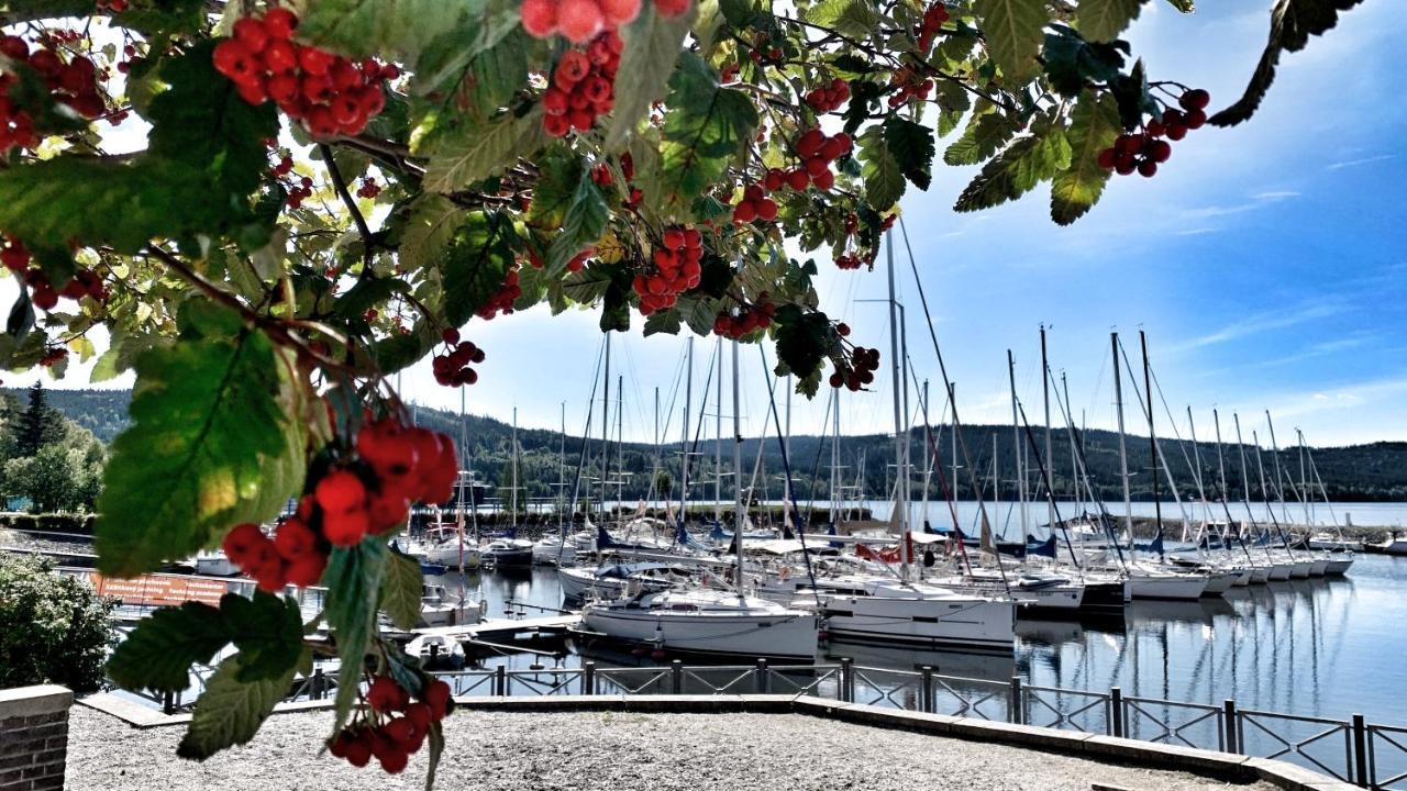 Apartman Kapy Lipno Lipno nad Vltavou Bagian luar foto